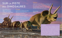 Secrets d'histoire junior - Si le temps des dinosaures m'était conté