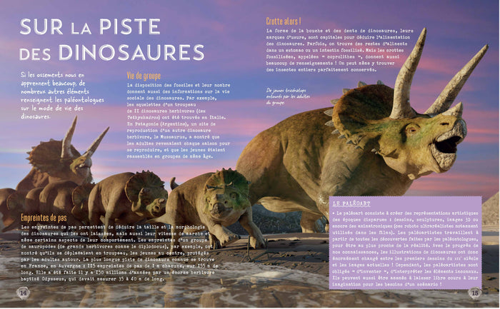 Secrets d'histoire junior - Si le temps des dinosaures m'était conté