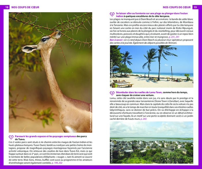 Guide du routard Kenya Tanzanie
