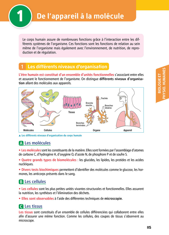 Objectif Bac 2023 - 1re ST2S