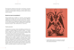 Sorcières, une histoire secrète