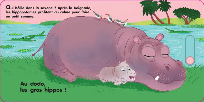 Au dodo - Les animaux sauvages