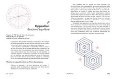 Star Power: Guide d'astrologie pour les mystiques modernes