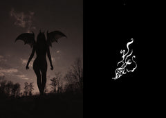 The Age of the Succubus