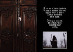 The Age of the Succubus