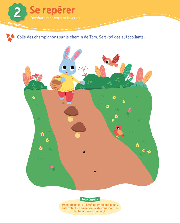 Toute ma maternelle - Tout le programmme - Toute Petite Section