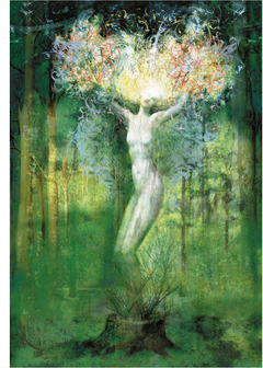UNIVERS IMAGINAIRES