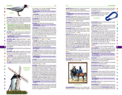 Larousse dictionnaire Super major 9/12 ans