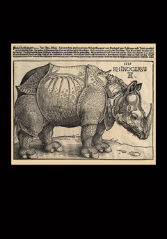 Albrecht Dürer