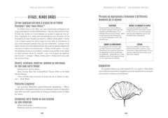 Yoga au-delà des postures