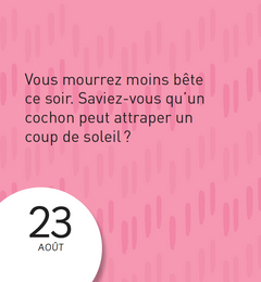 Mini calendrier - 365 trucs inutiles à savoir