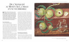 Les plus belles natures mortes