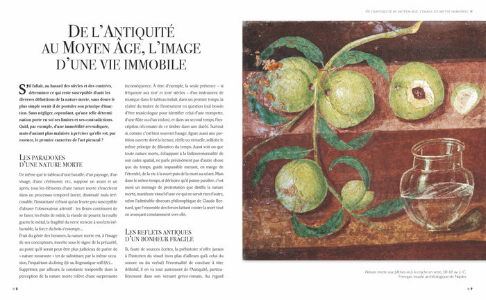 Les plus belles natures mortes