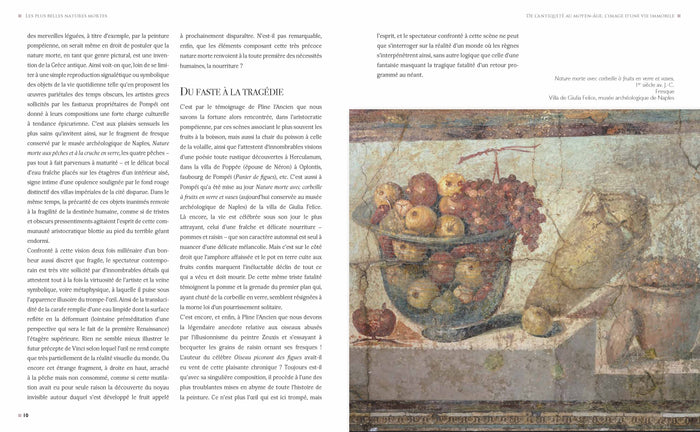 Les plus belles natures mortes