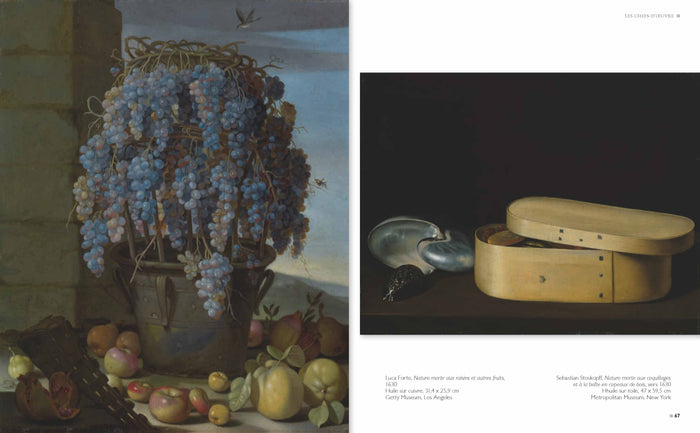 Les plus belles natures mortes