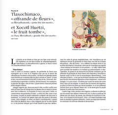 Codex Borbonicus