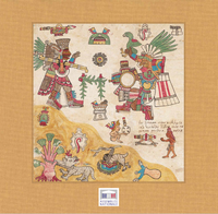 Codex Borbonicus