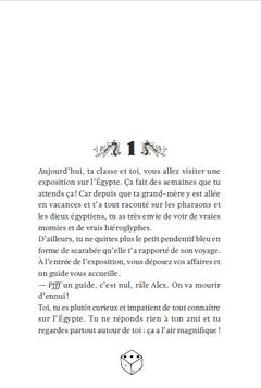 Tu es le héros de la pyramide secrète