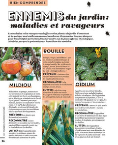 Les cahiers Silence ça pousse - Créer un joli jardin de curé