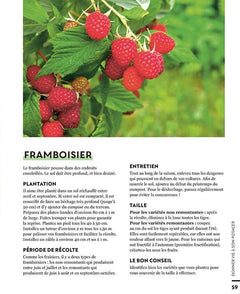 Les cahiers Silence ça pousse - Créer un joli jardin de curé