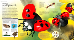 Insectes et araignées