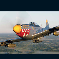 Avions d'exception - Les plus beaux avions de collection en vol