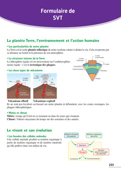 Annales Brevet 2023 - Sciences