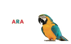 Mon imagier - 75 mots à lire dès 3 ans