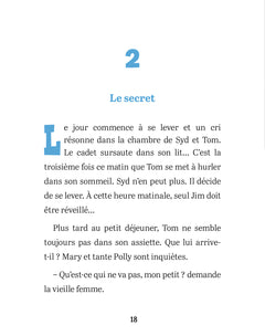 Tom Sawyer T3, Joe l'indien