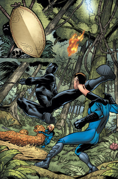 Marvel-Verse : Black Panther