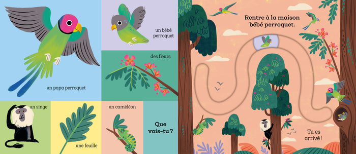 Suis le chemin bébé tigre