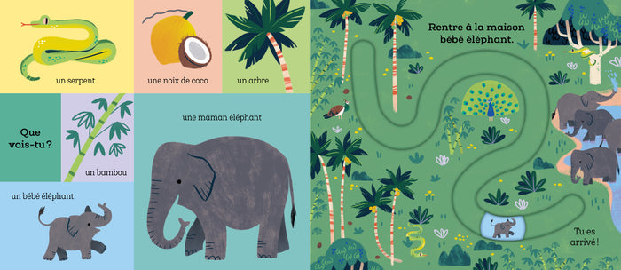 Suis le chemin bébé tigre