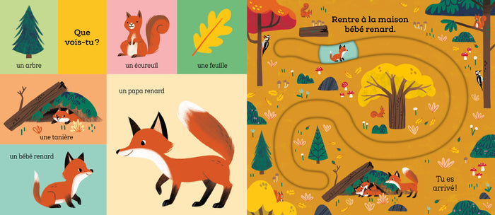 Suis le chemin bébé lapin