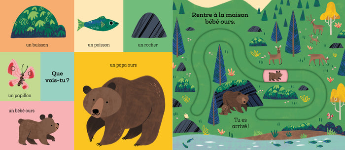 Suis le chemin bébé lapin