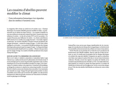 Les super-pouvoirs des abeilles - Ce que nous dit la science