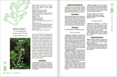 Le guide des plantes sauvages