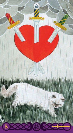 Coffret le tarot des chats païens