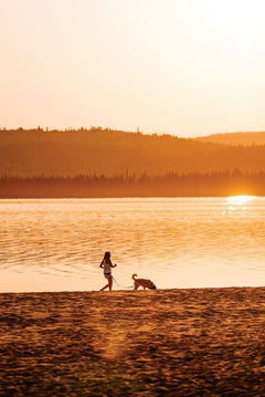Les plages du Québec - Plus de 100 lieux rafraîchissants et inspirants