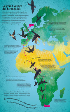 Vu d'en haut - Un cherche et trouve à vol d'oiseau