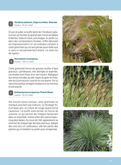 Un jardin sans arrosage ou presque