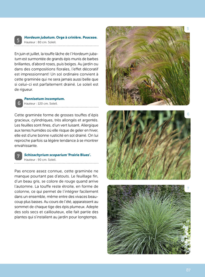 Un jardin sans arrosage ou presque