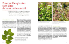 Les plantes bio-indicatrices et autres indicateurs pour comprendre son jardin