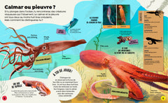 Qui est qui ? Plus de 50 animaux à ne plus confondre !