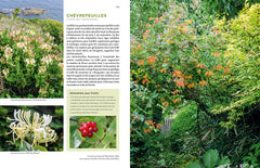 Toutes les plantes grimpantes