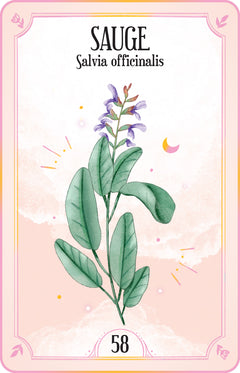 Le coffret des plantes