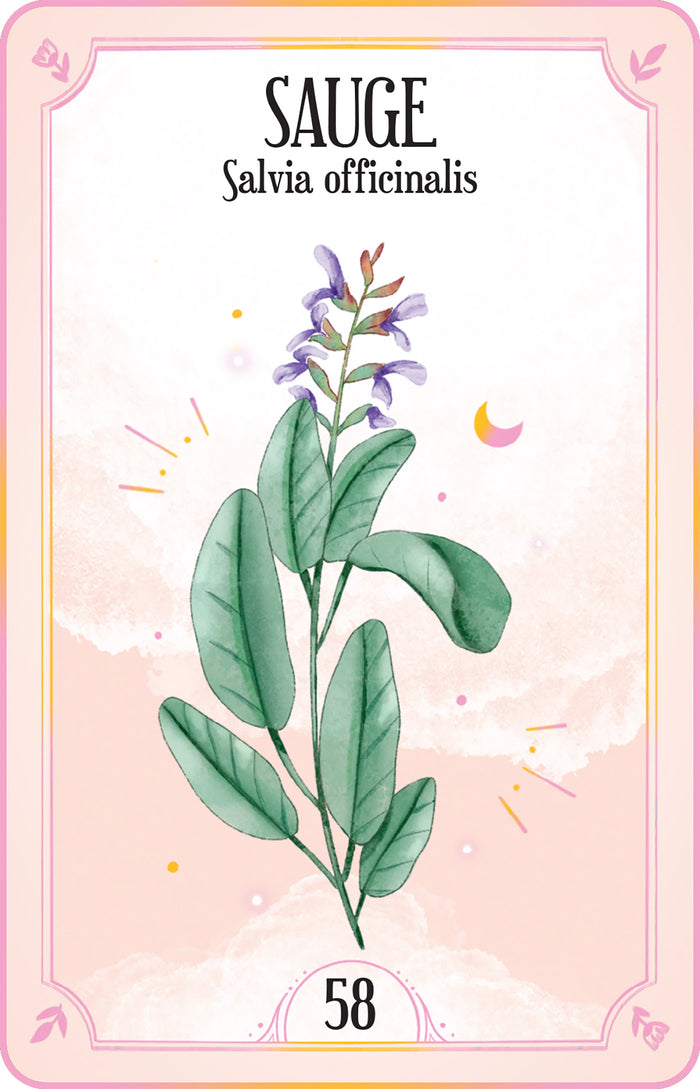 Le coffret des plantes