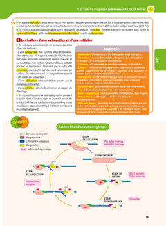 Mon année de Tle Spécialités Scientifiques Physique-Chimie SVT Maths
