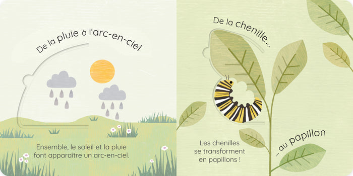 Tout change dans la nature