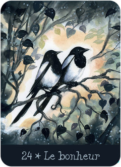 Lunae Lumen - Oracle divinatoire et shadow work