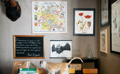 Leçons de choses & autres curiosités naturelles